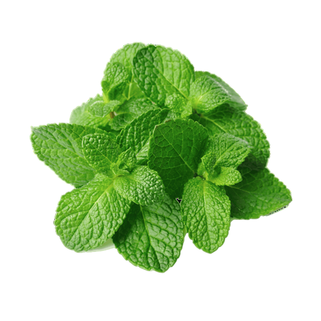 Mint  (Case-2Kg)