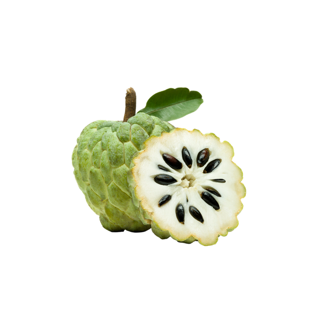 Apple Custard (Case 10)