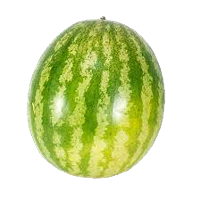 Water Melon (Case5)