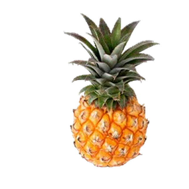 Baby Pineapple (Case 9)