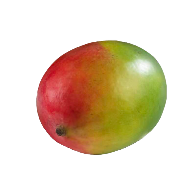 Mango (Case6)
