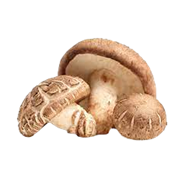 Fresh Shitake Mushroom 200g (Case 25)