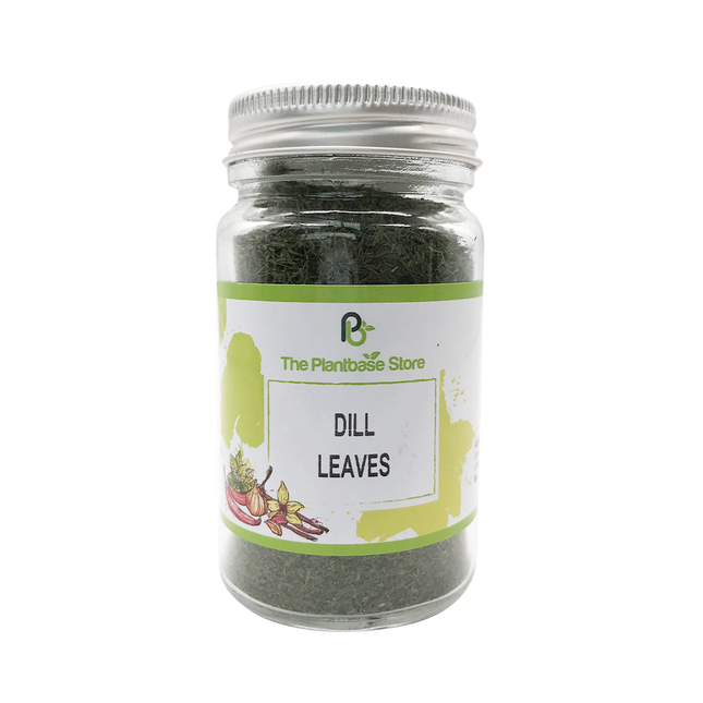 The Plantbase Store Dill Leaves 20g - Longdan Official Online Store