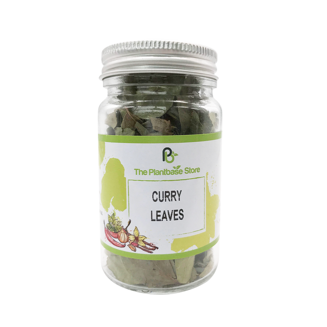 The Plantbase Store Curry Leaves 5g - Longdan Official Online Store
