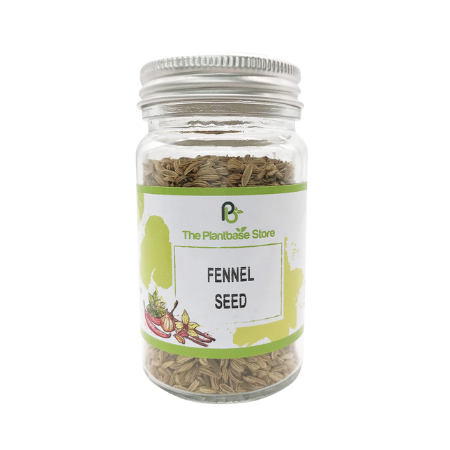 The Plantbase Store Fennel Seed 45g - Longdan Official Online Store
