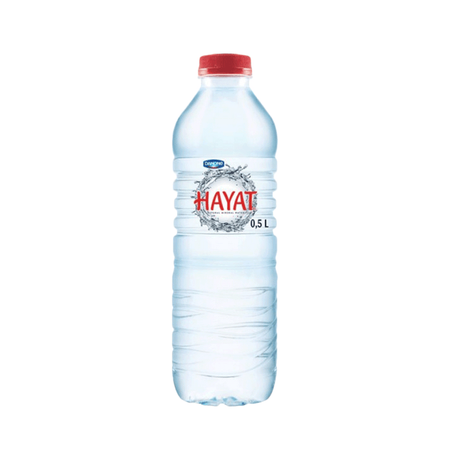 DANONE HAYAT Mineral Water 500ml (Case 24)
