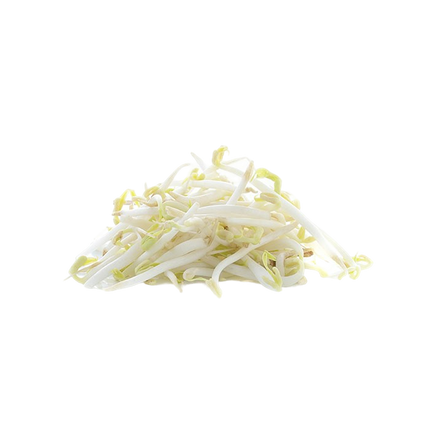 Beansprouts  (Case-4Kg)