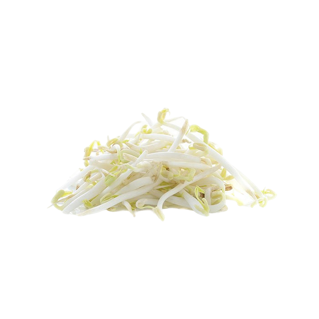 Beansprouts  (Case-4Kg)