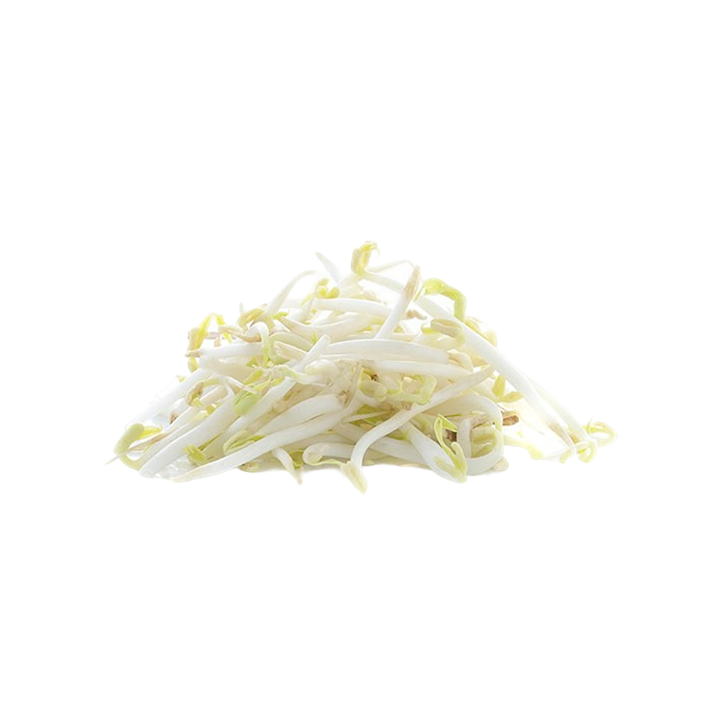 Beansprouts  (Case-4Kg)