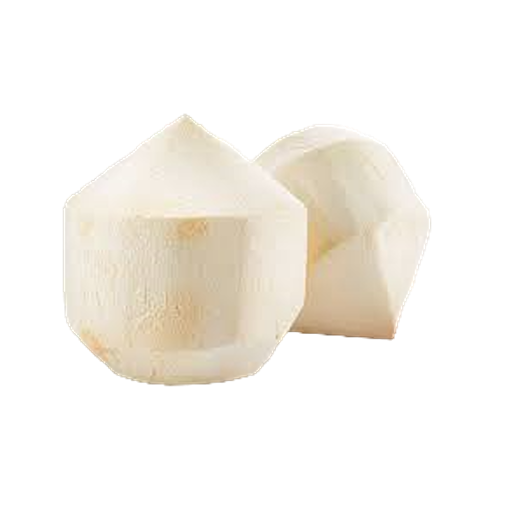 Fresh Coconut (Case 9)