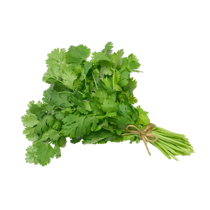 Coriander [Spain] (Case-3Kg)