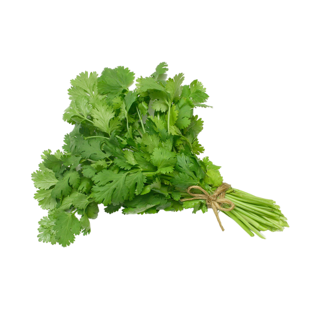 Coriander [Spain] (Case-3Kg)
