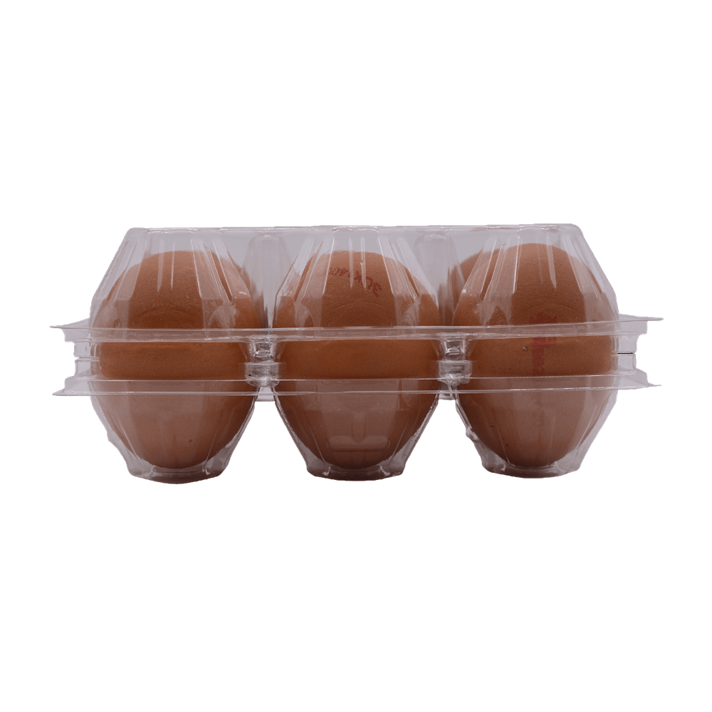 Egg (Case 60)
