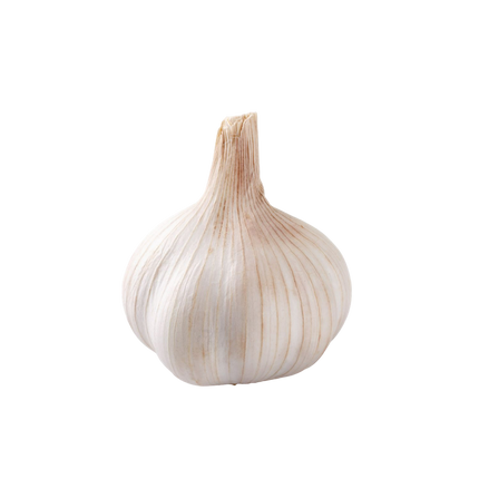 Garlic Box (Case 50)