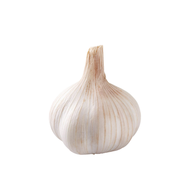 Garlic Box (Case 50)