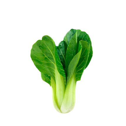 Green Pak Choi [Spain] (Case-8Kg)
