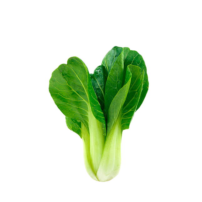 Green Pak Choi [Spain] (Case-8Kg)