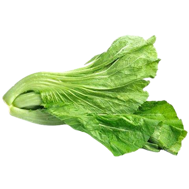 Kaichoi [Spain] (Case-8Kg)