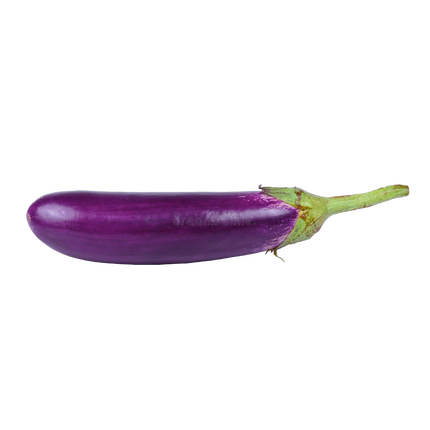 Long Aubergine [Spain] (Case-5Kg)