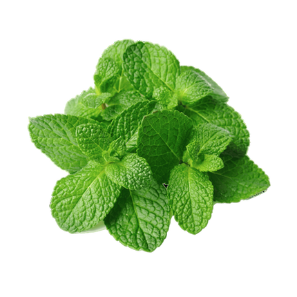 Mint  (Case-2Kg)