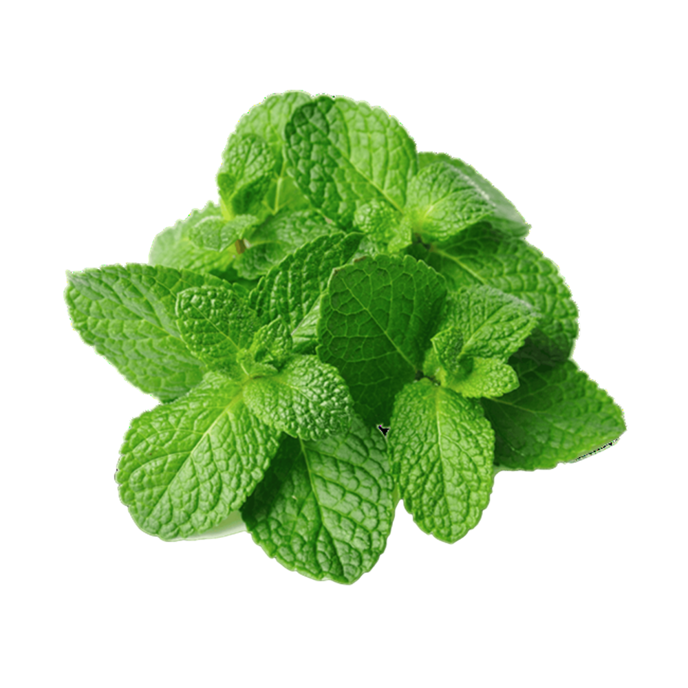 Mint  (Case-2Kg)