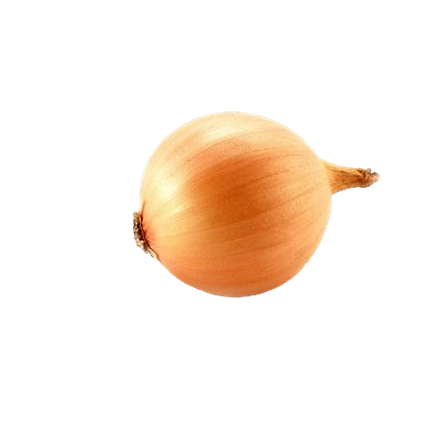 Brown Onion (UK) (Case-24kg)