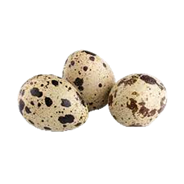 Quail Eggs (Case 24)