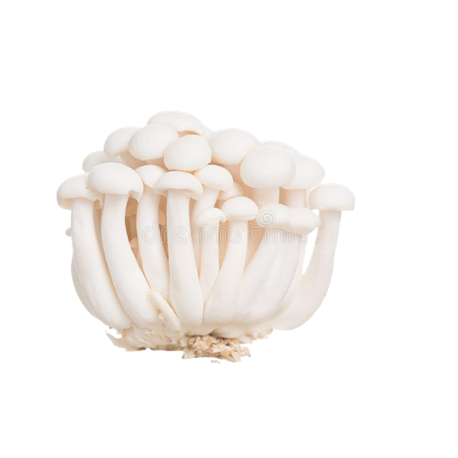 White Beech Mushroom [China] (Case 20)