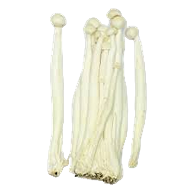 Shimeji Snow Mushroom (Case 40)