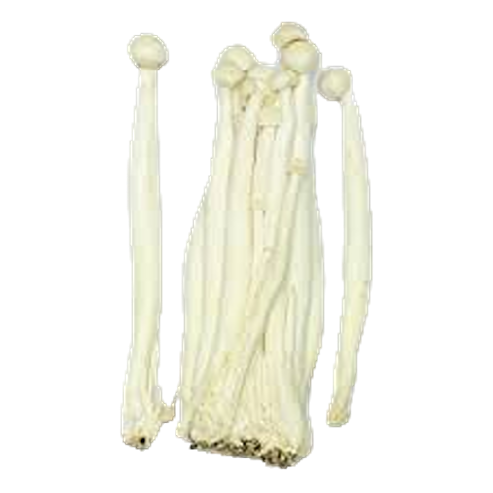 Shimeji Snow Mushroom (Case 40)
