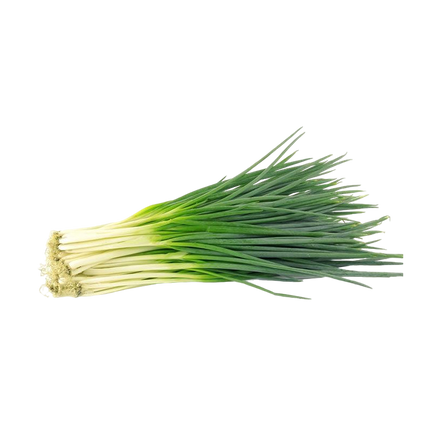 Spring Onion Egypt (Case18)