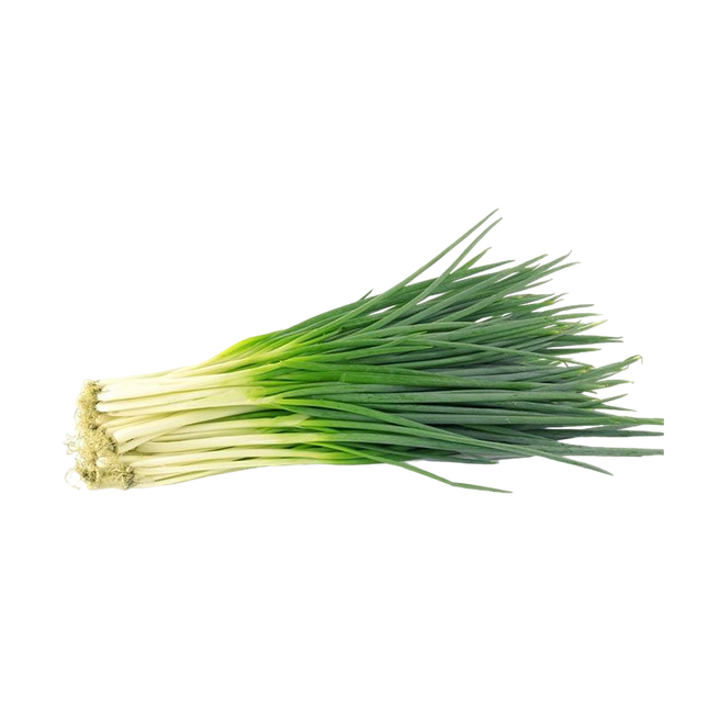 Spring Onion Egypt (Case18)