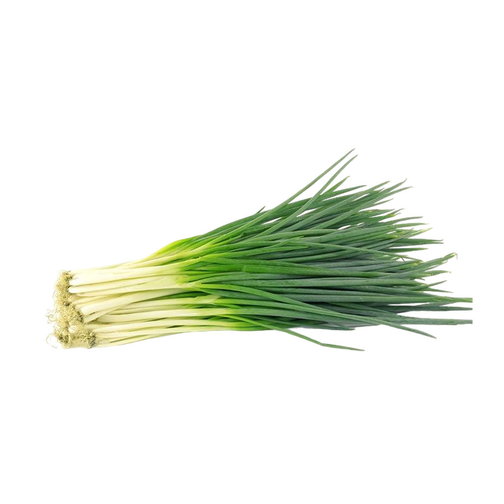 Spring Onion Egypt (Case18)