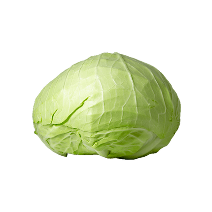 Cabbage [Holland] (Case-10Kg)