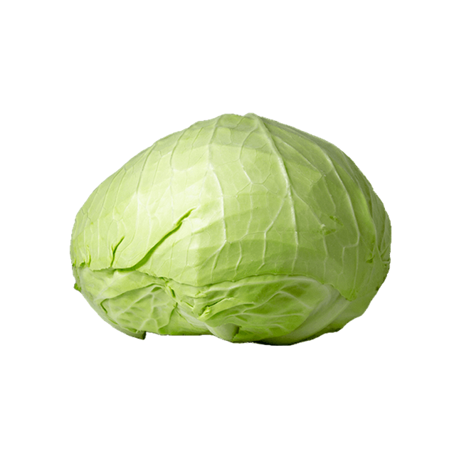 Cabbage [Holland] (Case-10Kg)