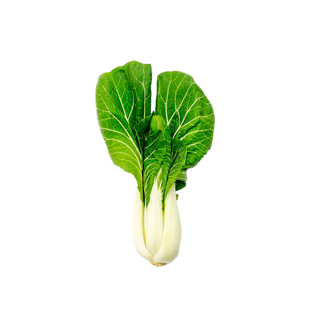 White Pak Choi [Spain] (Case-6Kg)