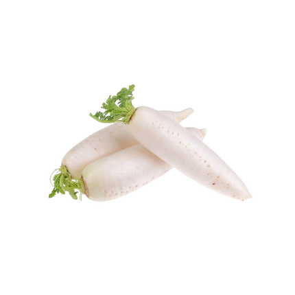 White Radish (Deutschland) (Kg1)