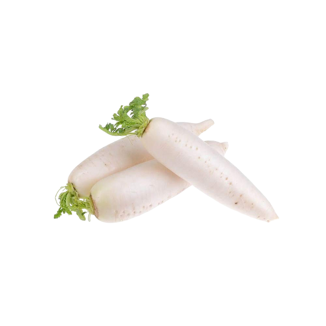 White Radish (Deutschland) (Kg1)