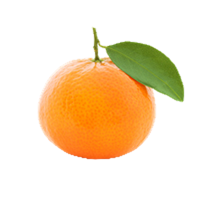 Clementine (Spain) (Case-10Kg)