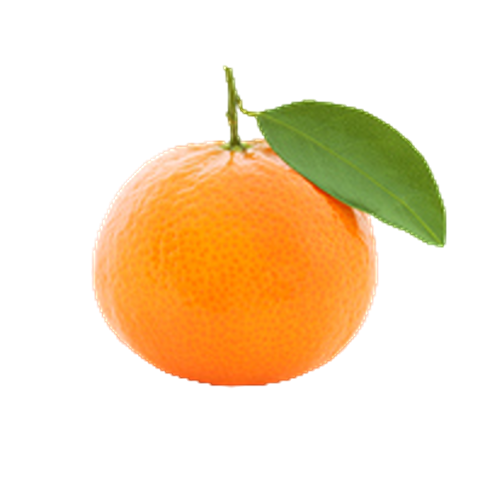 Clementine (Spain) (Case-10Kg)