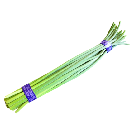 Garlic Shoot  (Case 50)