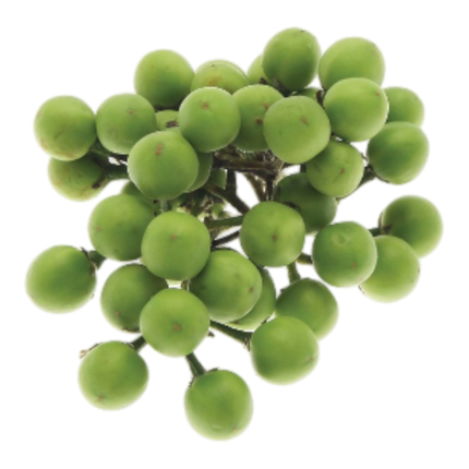 Pea Aubergine (Small Eggplant) 100G (Kg10)