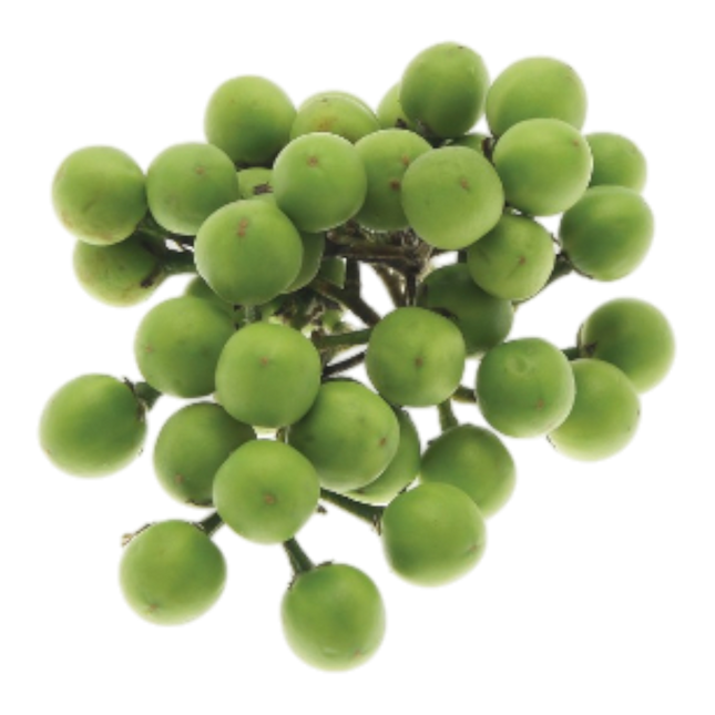 Pea Aubergine (Small Eggplant) 100G (Kg10)