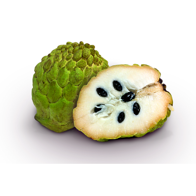Soursop (Mang Cau Xiem) Kg-22