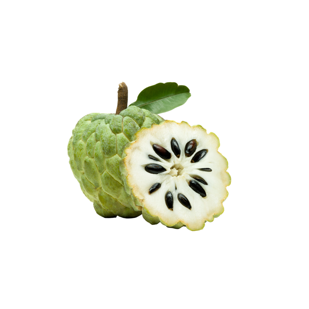 Apple Custard (Case 10)