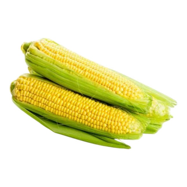 Fresh Sweet Corn (Case 30)