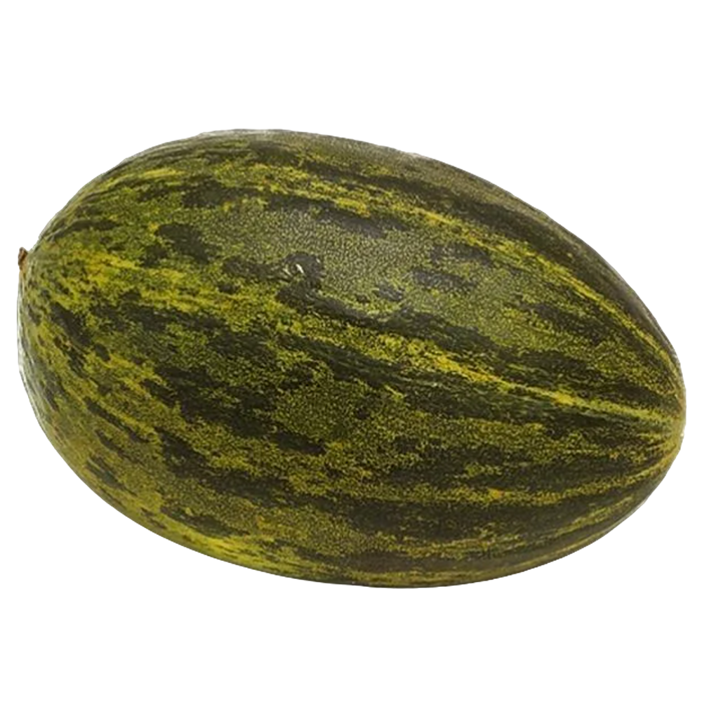 Sapo Melon (Case 6)