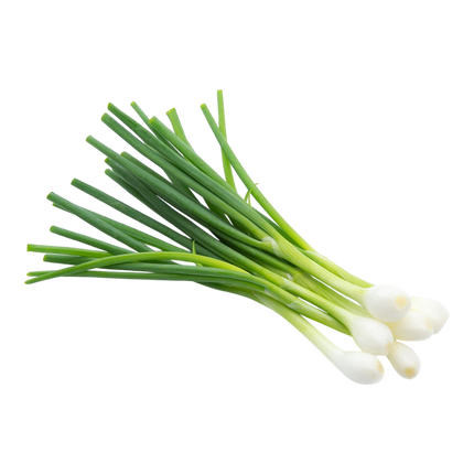 Vietnamese Spring Onion (Hanh La) 100G (Case 10)