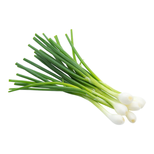 Vietnamese Spring Onion (Hanh La) 100G (Case 10)