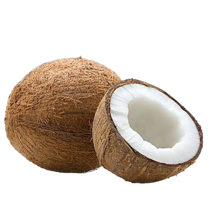 Mature Coconut (Case 40)